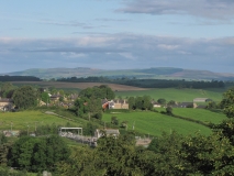 Bank Edge view 17th June 2014 002