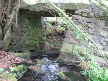 ginnels 5th May 007