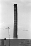 CrowNest7854