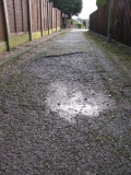 Avon Drive path Feb 2014