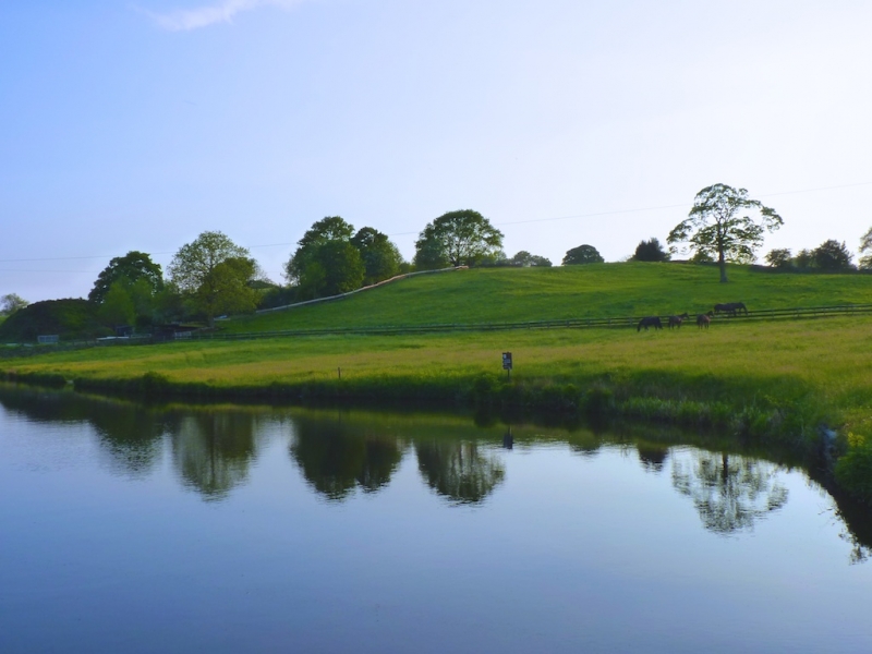 Canal Reflections