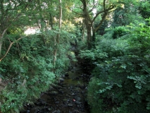 Valley Gardens 010714