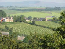Bank Edge view 1st July 2014 001