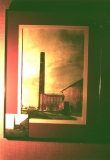 OwlEdnaLumbpainting