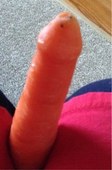 Maz Carrot