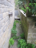 ginnel 23rd June 2014 015