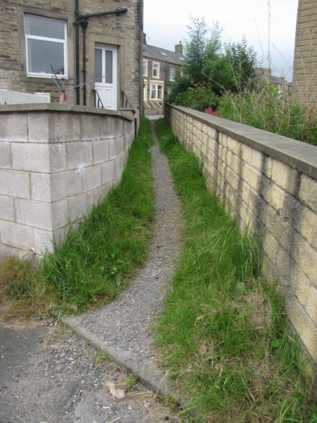 Ginnel 2