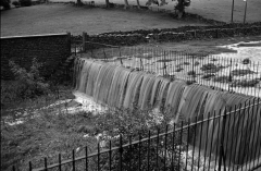 Daminflood7719401