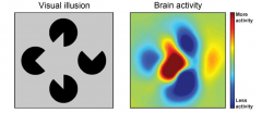 illusion