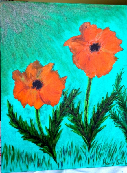 Poppies 1