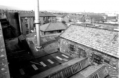 Wellhse167854