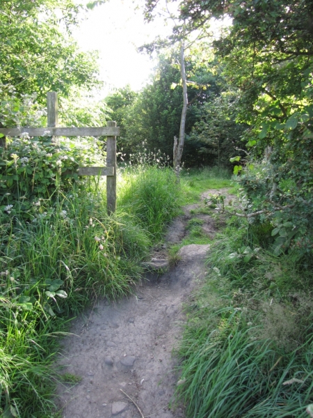 1st July 2014 008
