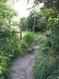 1st July 2014 008