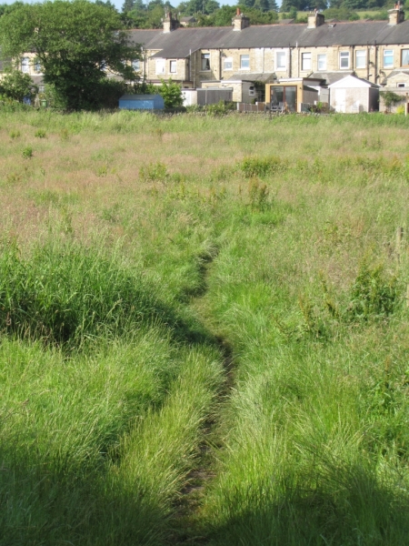 1st July 2014 009
