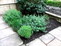 Front Garden 170714
