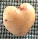 Heart spud