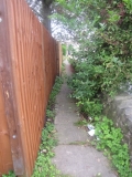 Ginnel Gather 019