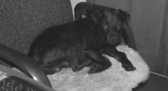 Jack 240912