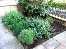 Front Garden 210714