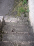 Ginnel Gather 044
