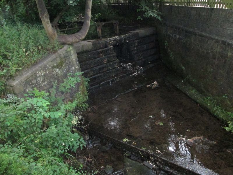Butts dam 230714