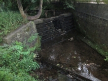 Butts dam 230714