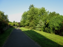 Valley Gardens 240714