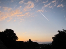 Bank Edge View 26th July 2014 029