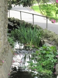 Valley Gardens 26th July 2014 002