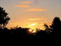 Bank Edge view 3rd August 2014 016