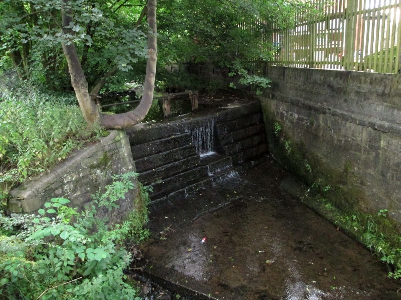 Butts Clow 030814