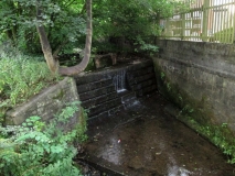 Butts Clow 030814