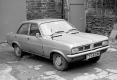 Viva8