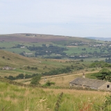 Mid summer view