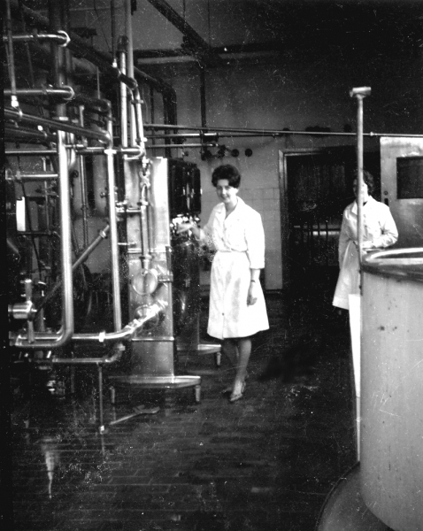MarySouthwellWestMartonDairyc1950