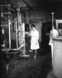 MarySouthwellWestMartonDairyc1950
