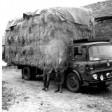 Loadofhay69