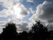 Bank Edge view 17th August 2014 009