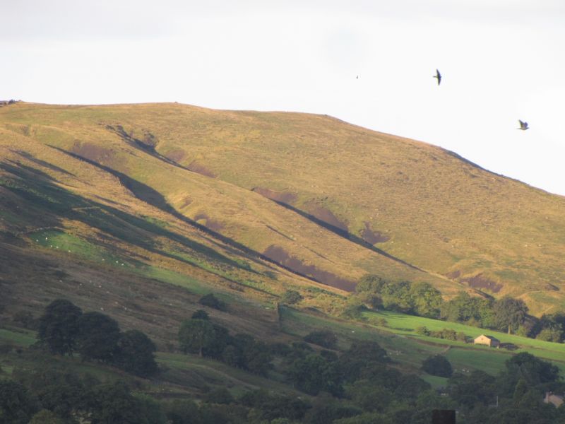 Bank Edge view 18th August 2014 013