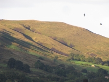 Bank Edge view 18th August 2014 013