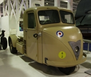 Scarab
