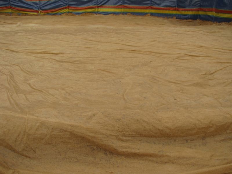 Beach  21st August 2014 040