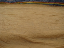 Beach  21st August 2014 040
