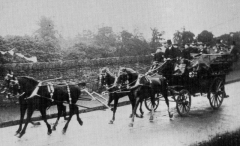 Horse charabanc Transport