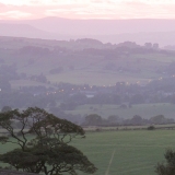 Evening view