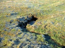 LPMBowker drain