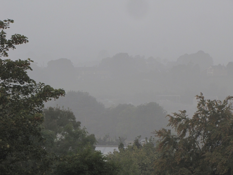Bank Edge View 12th Sept 2014 001