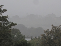 Bank Edge View 12th Sept 2014 001