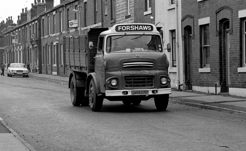 Mossfelling series799001