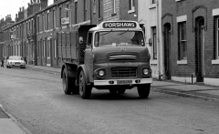 Mossfelling series799001